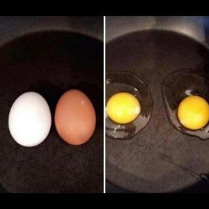 Meet your Posher, Picasso